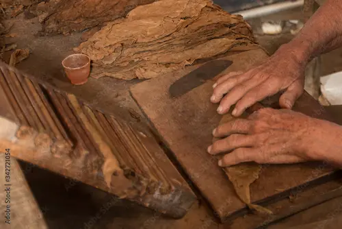 Torcedor artisan handling a tobacco leaf for a Monte-Carlo Club cigar.